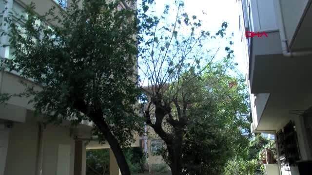 İstanbul'un göbeğini tırtırlar bastı!