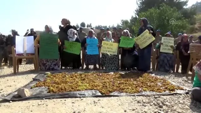 JES protestosu