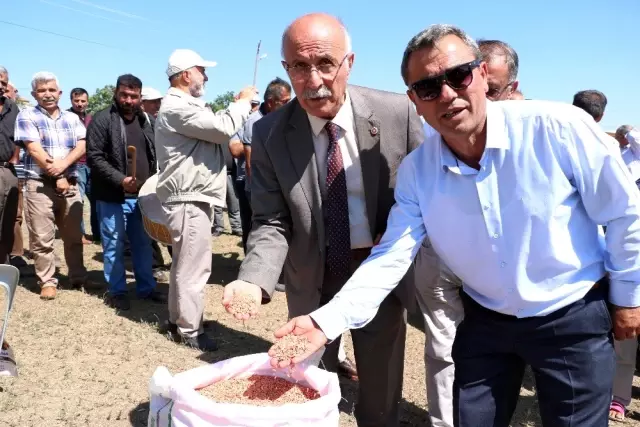 Kuşçu köyünde ilk kez hasat şenliği düzenlendi Kuşçu köyünde ilk kez hasat şenliği düzenlendi