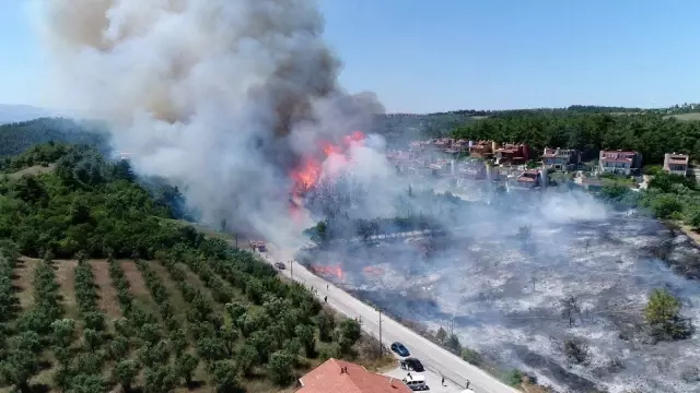 (Özel) Bir metrekaresi imara açılmadı... 47 bin fidan boy vermeye başladı (Özel) Bir metrekaresi imara açılmadı... 47 bin fidan boy vermeye başladı
