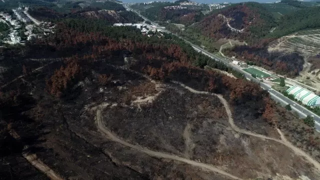 (Özel) Bir metrekaresi imara açılmadı... 47 bin fidan boy vermeye başladı (Özel) Bir metrekaresi imara açılmadı... 47 bin fidan boy vermeye başladı