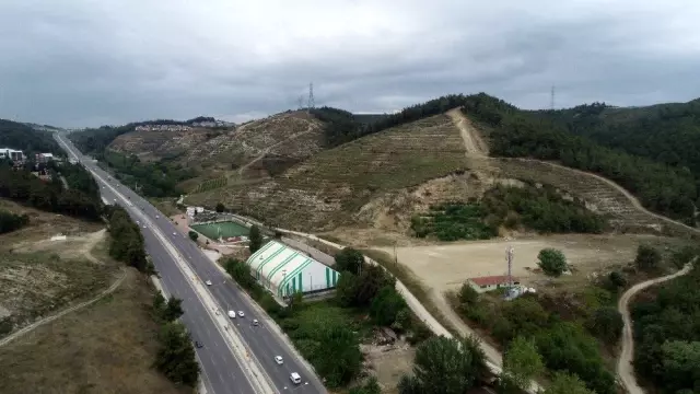 (Özel) Bir metrekaresi imara açılmadı... 47 bin fidan boy vermeye başladı (Özel) Bir metrekaresi imara açılmadı... 47 bin fidan boy vermeye başladı