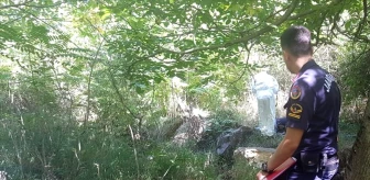 Sakarya'da yol kenarında erkek cesedi bulunması