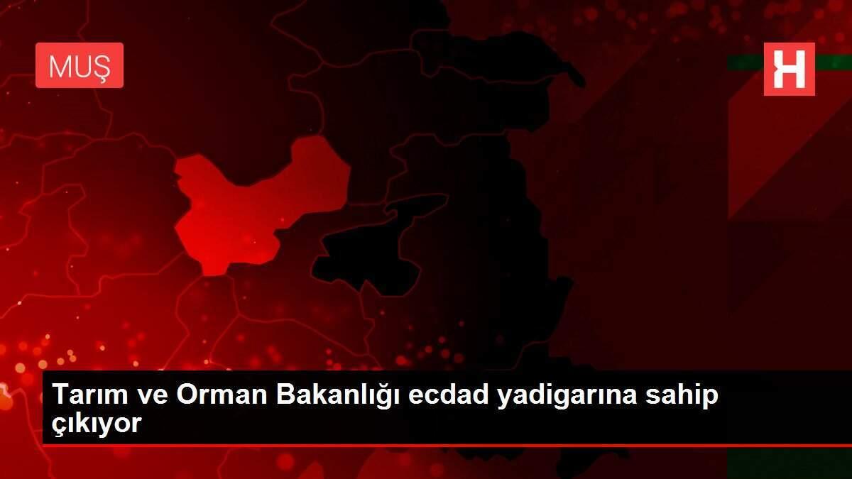 Tarım ve Orman Bakanlığı ecdad yadigarına sahip çıkıyor