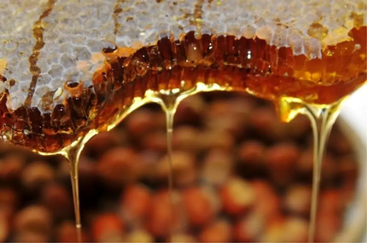 Bal ihracatından 12 milyon dolarlık gelir