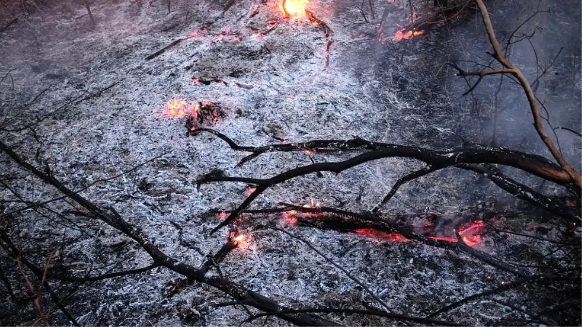 Brezilya, G7'nin Amazonlar için teklif ettiği 20 milyon dolarlık yardımını reddetti