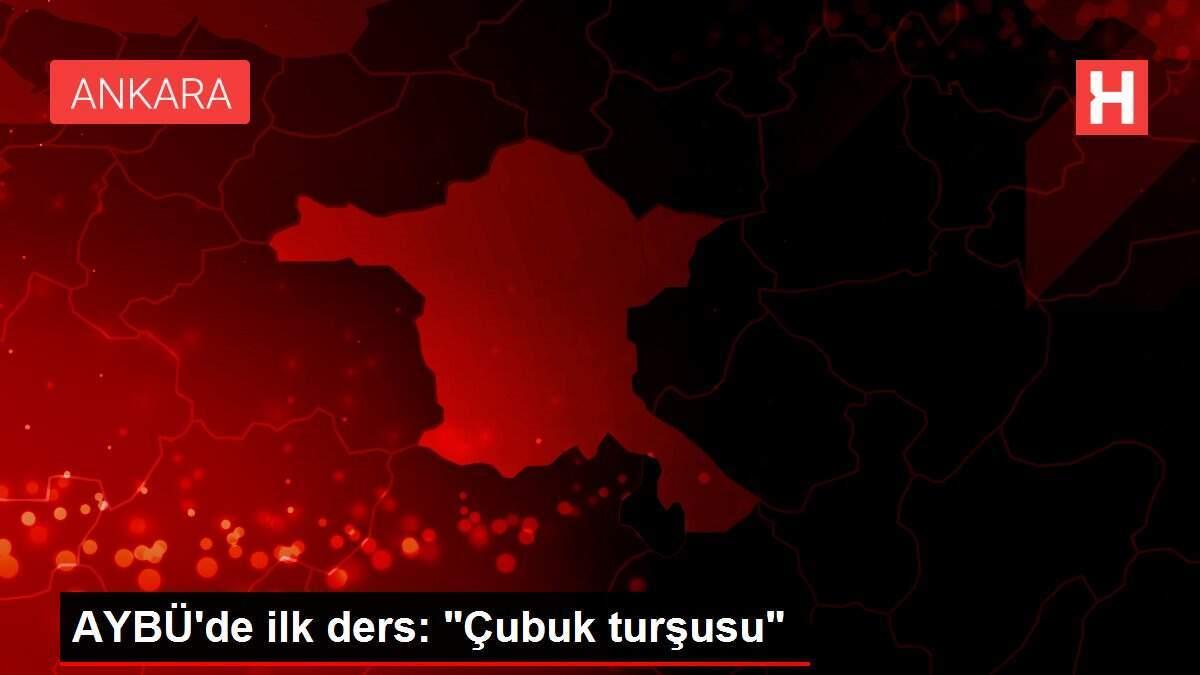 AYBÜ'de ilk ders: 'Çubuk turşusu'