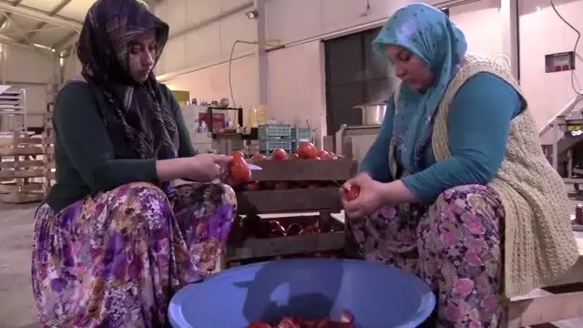 Belediyenin ürettiği Osmaneli salçasına Almanya'dan talep