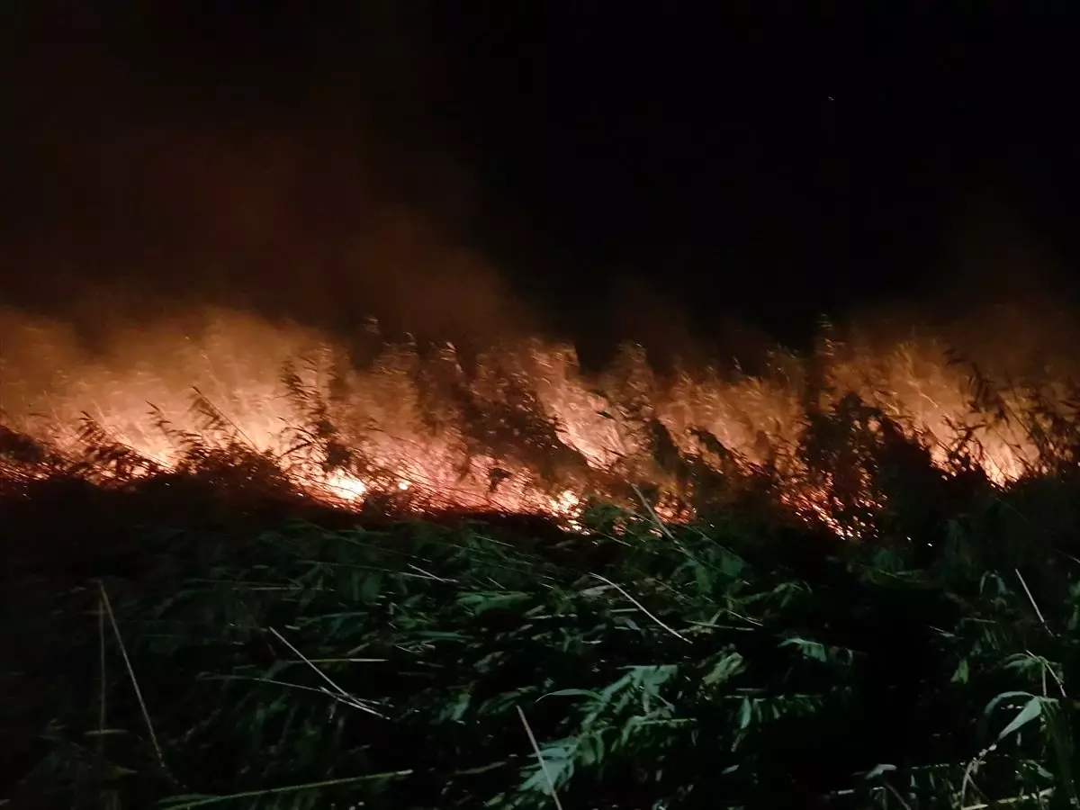 Edremit'te sazlık alanda çıkan yangın söndürüldü
