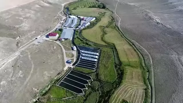 İhraç edilen her 3 alabalıktan biri Kayseri'den İhraç edilen her 3 alabalıktan biri Kayseri'den