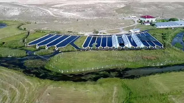 İhraç edilen her 3 alabalıktan biri Kayseri'den İhraç edilen her 3 alabalıktan biri Kayseri'den