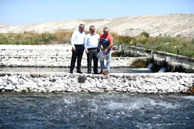 Kayseri'den yılda 10 milyon dolarlık balık ihracatı yapılıyor Kayseri'den yılda 10 milyon dolarlık balık ihracatı yapılıyor