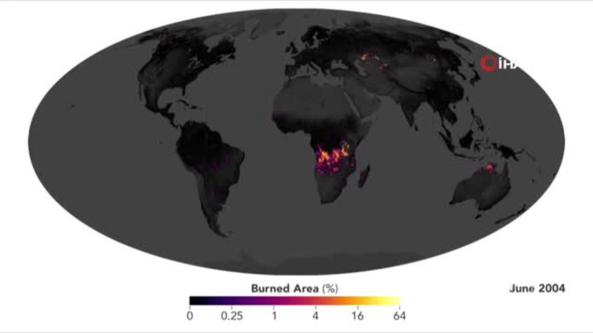 Afrika Yanıyor Ancak Amazonlar KonuşuluyorDünya Üzerindeki Her 7 Yangından 1'i Afrika'da