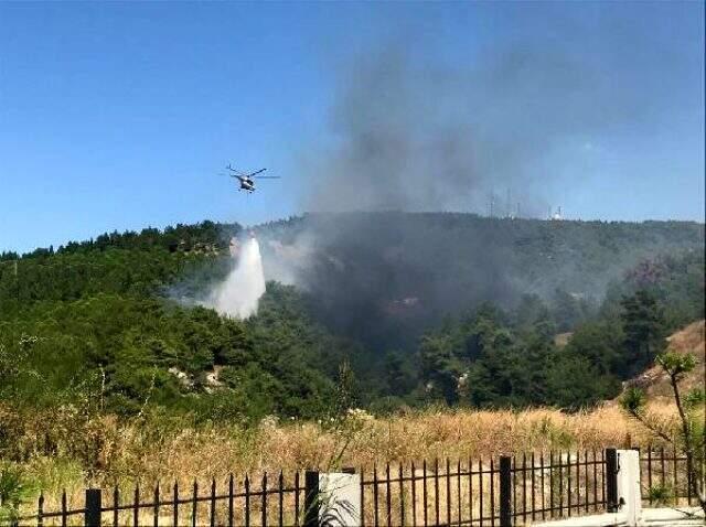 Çanakkale'deki orman yangını iki saat sonra söndürüldü