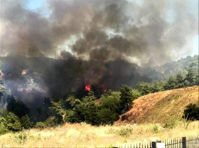 Çanakkale'deki orman yangını iki saat sonra söndürüldü