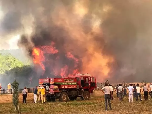Çanakkale'deki orman yangını iki saat süren çalışma sonrası söndürüldü