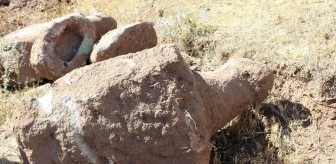 Erzurum'da koç başlı mezar taşları bulundu