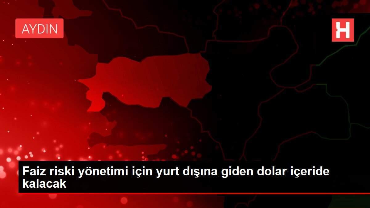 Faiz riski yönetimi için yurt dışına giden dolar içeride kalacak