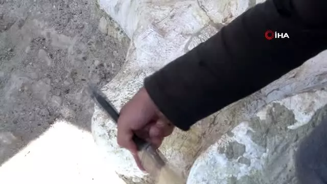 Kayseri'de 3 buçuk metre uzunluğunda 7 buçuk milyon yıllık 'Choerolophodon' fosili bulundu Kayseri'de 3 buçuk metre uzunluğunda 7 buçuk milyon yıllık 'Choerolophodon' fosili bulundu