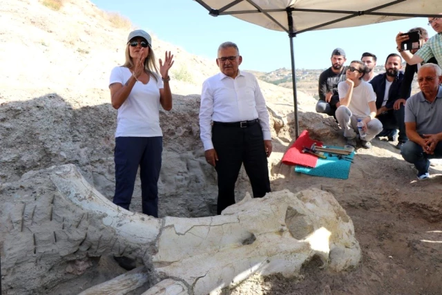Kayseri'de 7 buçuk milyon yıllık 'Choerolophodon' fosili bulundu