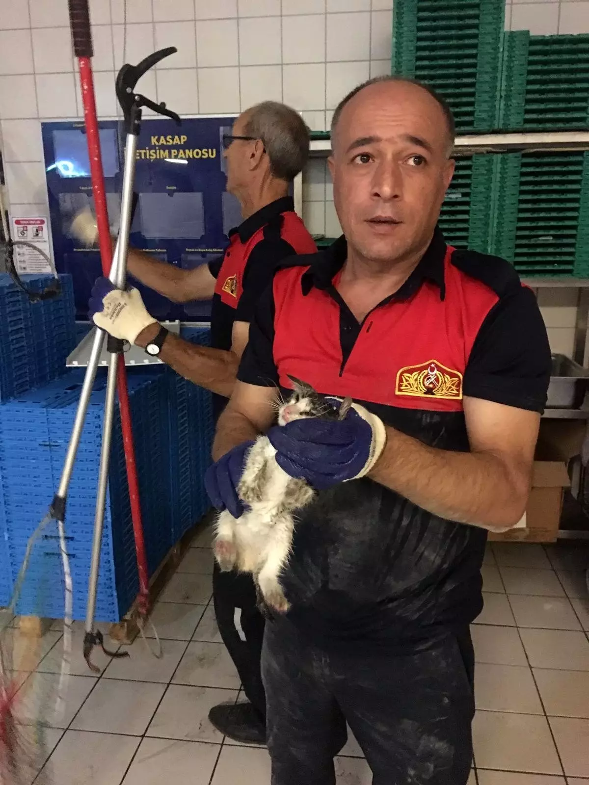 Yaramaz Boncuk itfaiye ekipleri tarafından kurtarıldı