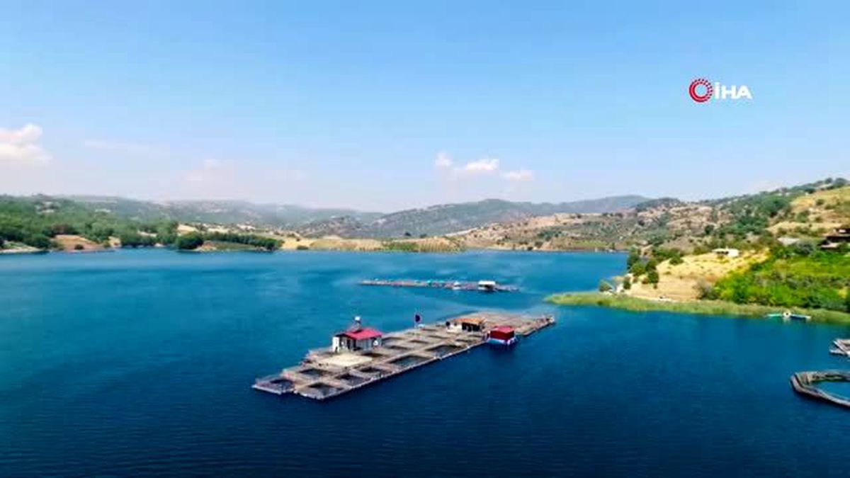 Denize kıyısı olmayan Kahramanmaraş'ta, alabalıktan yıllık 8 milyon Euro gelir