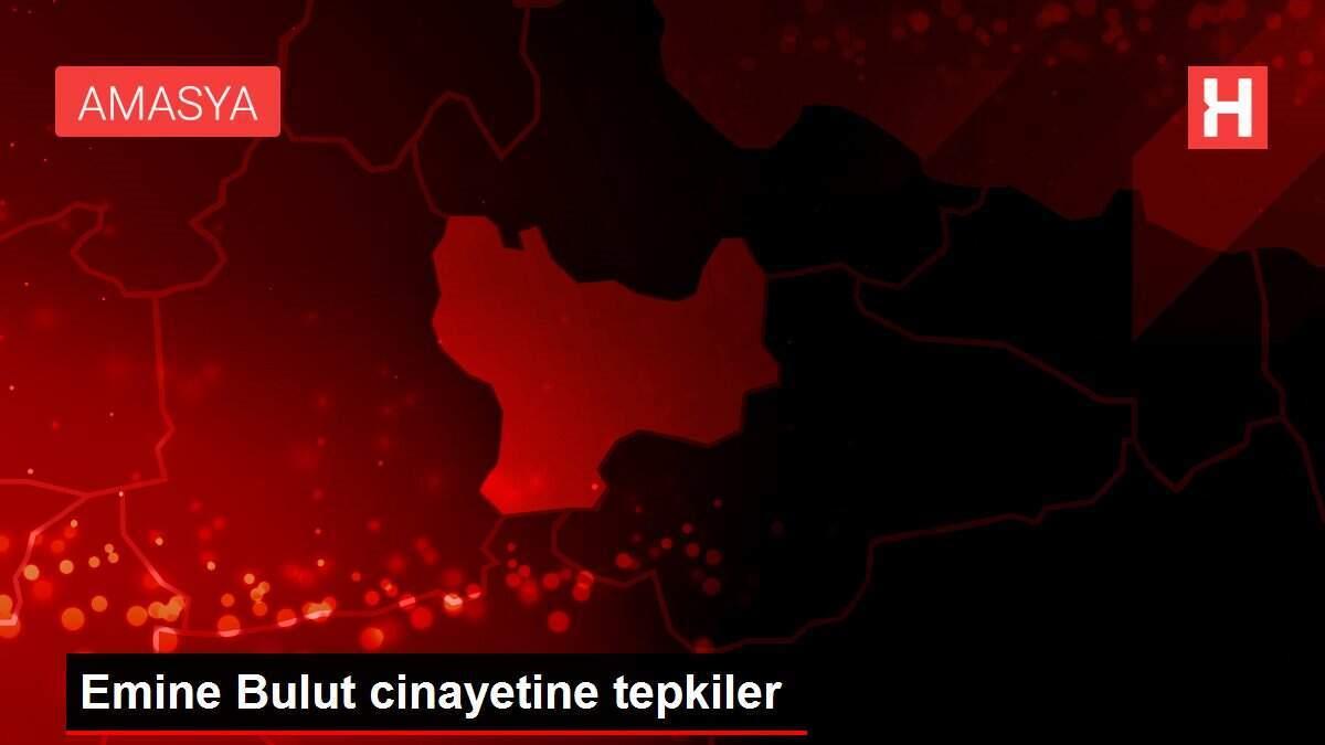 Emine Bulut cinayetine tepkiler