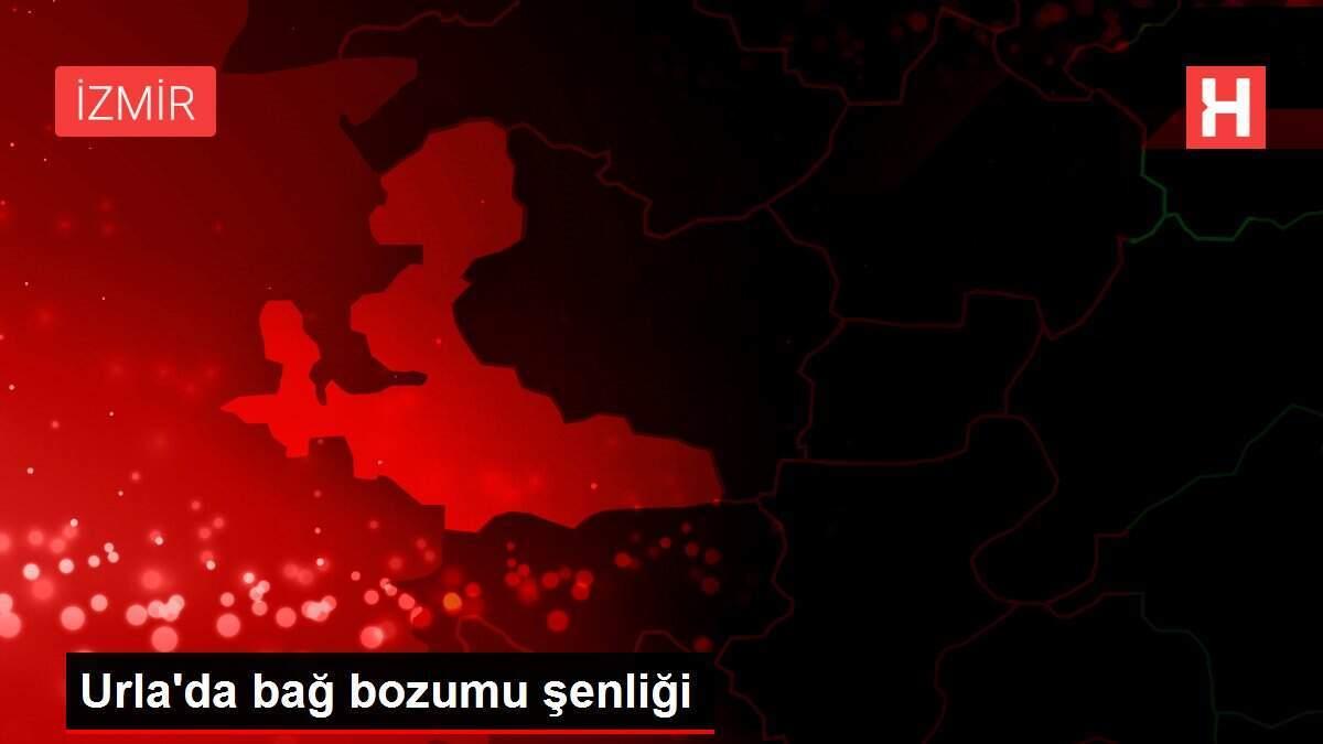 Urla'da bağ bozumu şenliği