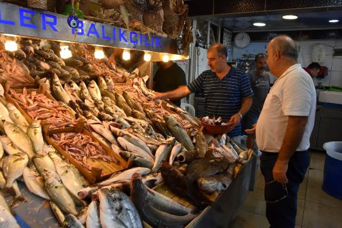 Av yasağı kalktı! İşte tezgahta balık fiyatları