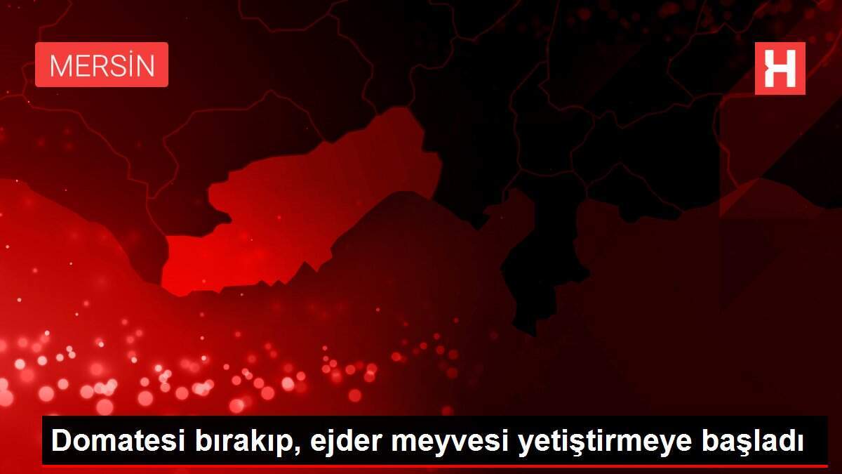 Domatesi bırakıp, ejder meyvesi yetiştirmeye başladı