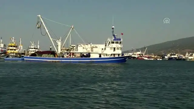 Egeli balıkçılar sezonu umutlu açtı Egeli balıkçılar sezonu umutlu açtı