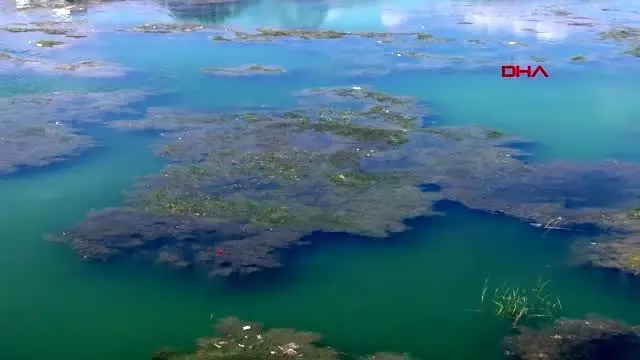 Konyaaltı sahili için 'çekilme' uyarısı Konyaaltı sahili için 'çekilme' uyarısı
