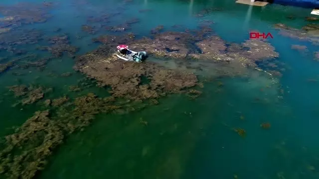 Konyaaltı sahili için 'çekilme' uyarısı Konyaaltı sahili için 'çekilme' uyarısı
