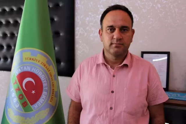 Yöneticiliği bırakıp çiftçi oldu, 'Huzuru tarımda buldum' dedi Yöneticiliği bırakıp çiftçi oldu, 'Huzuru tarımda buldum' dedi