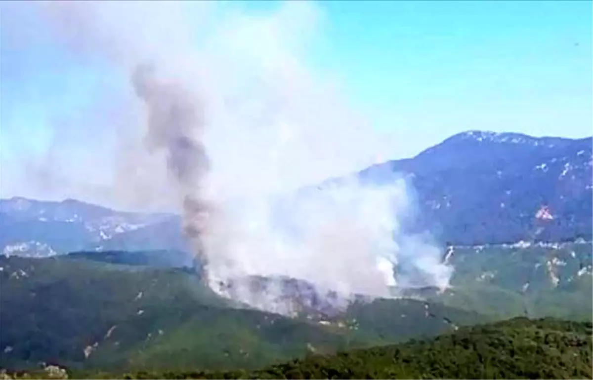 Antalya'da orman yangını