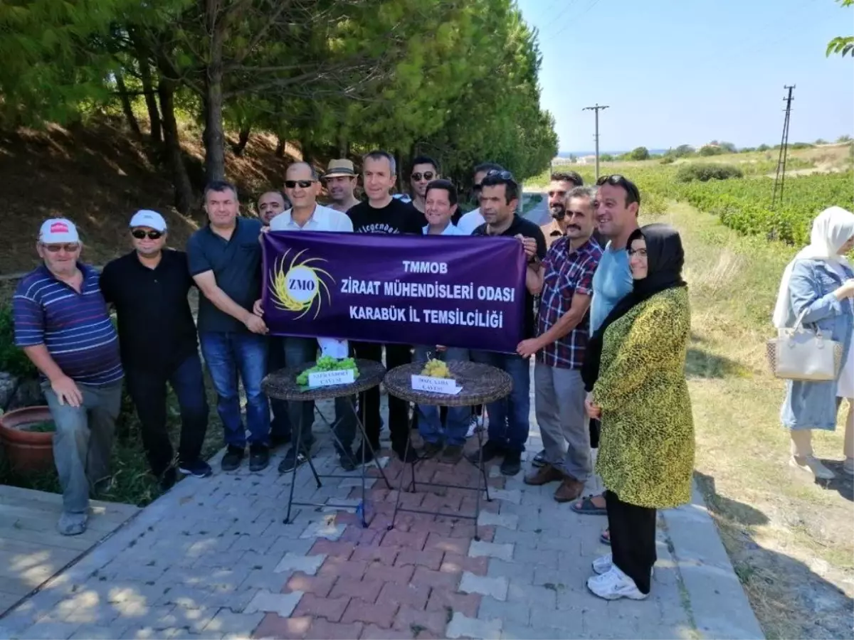 'Çavuş üzümü' gezisi