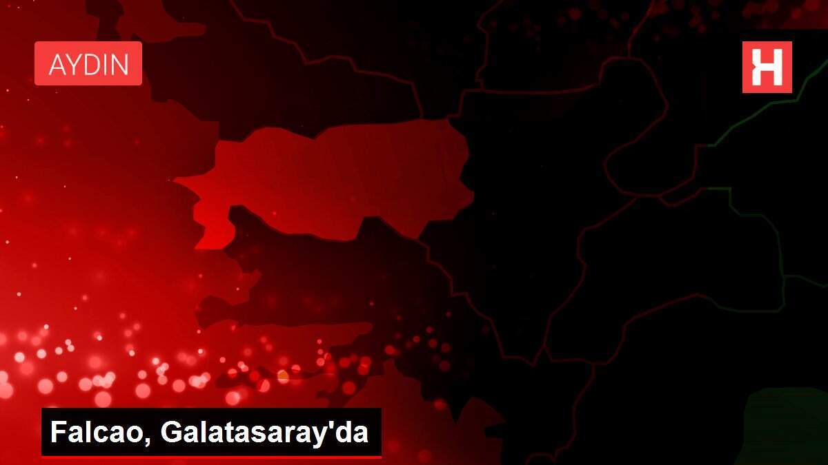 Falcao, Galatasaray'da