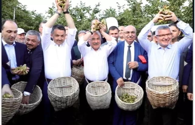 'Fındığın Başkenti' sloganı tartışmaya yol açtı 'Fındığın Başkenti' sloganı tartışmaya yol açtı