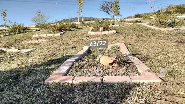İzmir'de sahipsiz Aylan bebeklerin mezarlığı: 412 numaralı ada