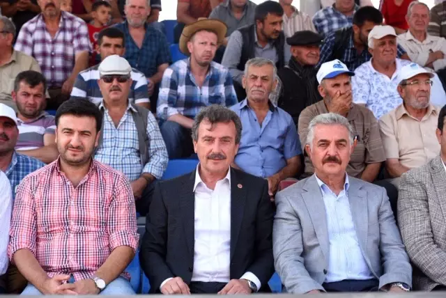 Rahvan atların 'Zafer' koşusu Rahvan atların 'Zafer' koşusu
