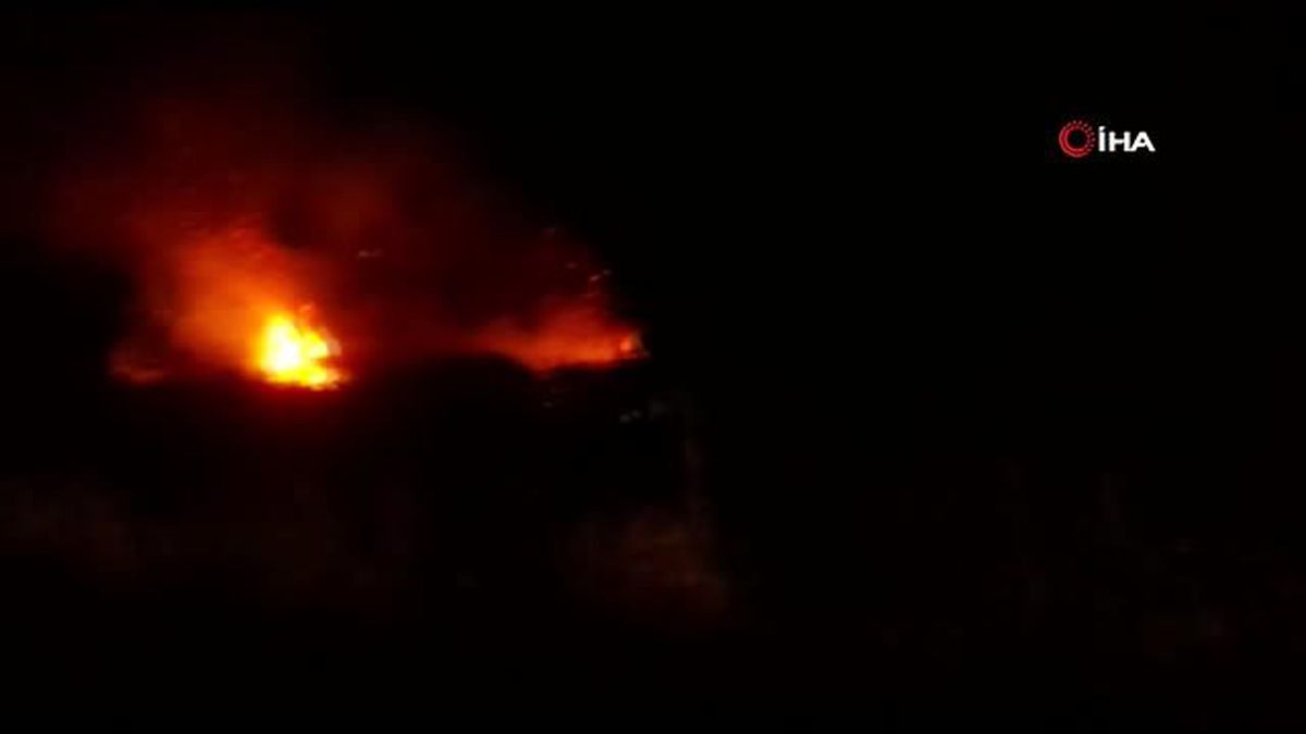 Sazlık alandaki çalı yangını korkuttu