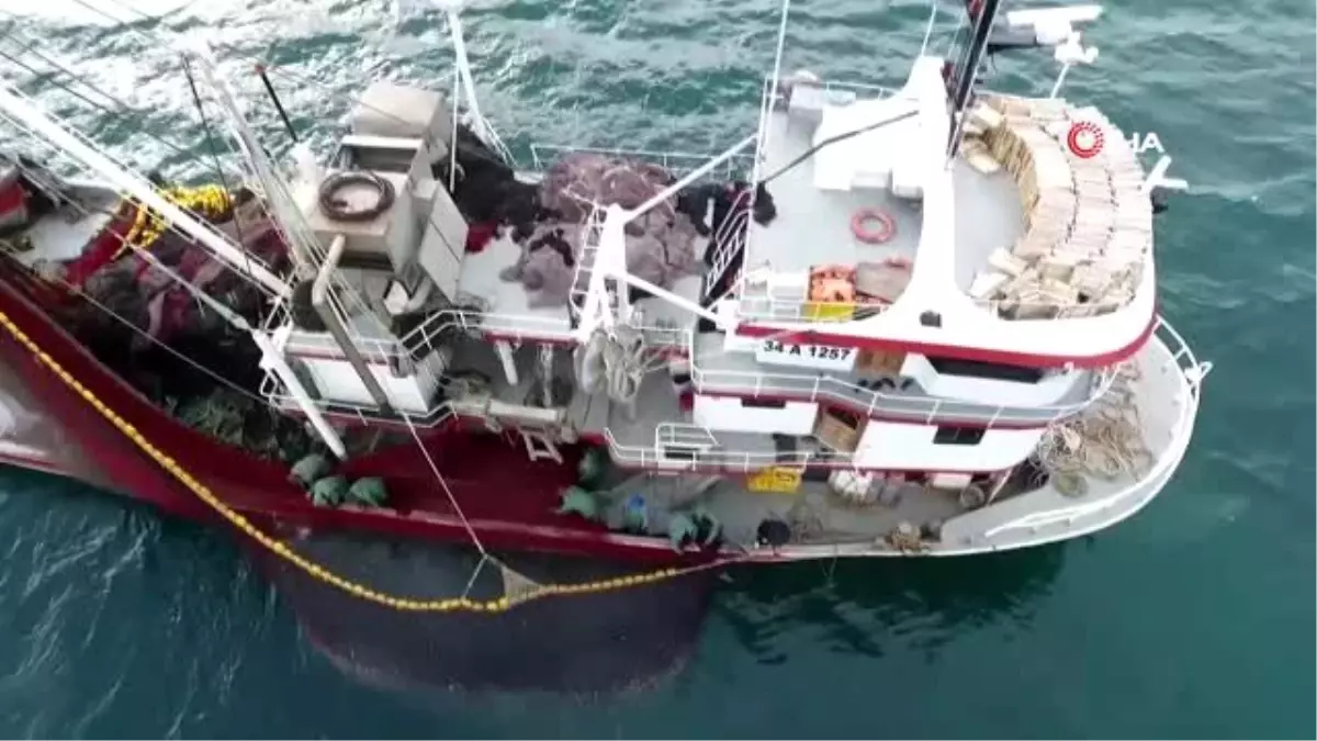 Sinop'ta hamsi yeniden tezgahlarda