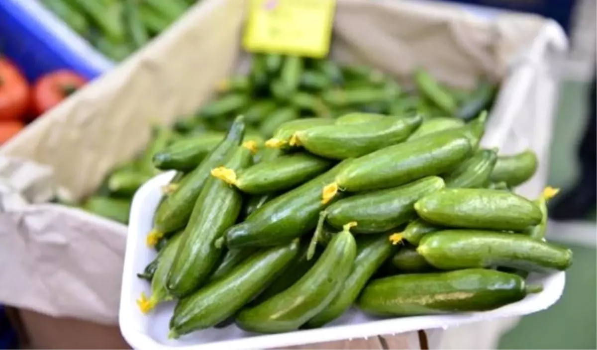 Ağustosta en çok salatalığın fiyatı arttı