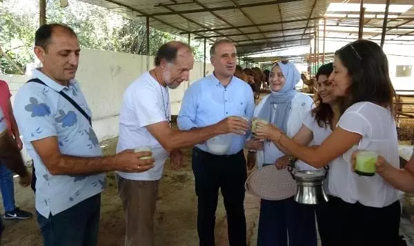 Aydın'ın deve sütünü dünya pazarına taşıyacak proje Aydın'ın deve sütünü dünya pazarına taşıyacak proje