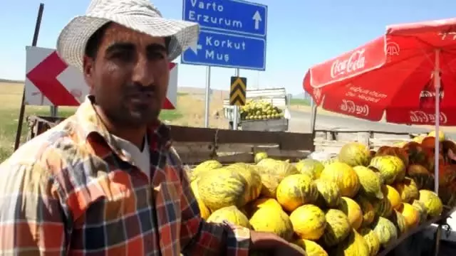 Balotu kavunu tezgahlarda yerini aldı - MUŞ
