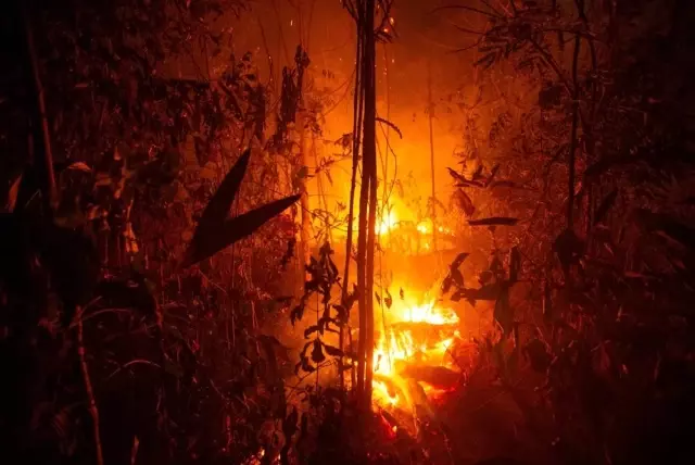 Brezilya, Fransa'nın Amazonlara yardımını resmen reddetti Brezilya, Fransa'nın Amazonlara yardımını resmen reddetti