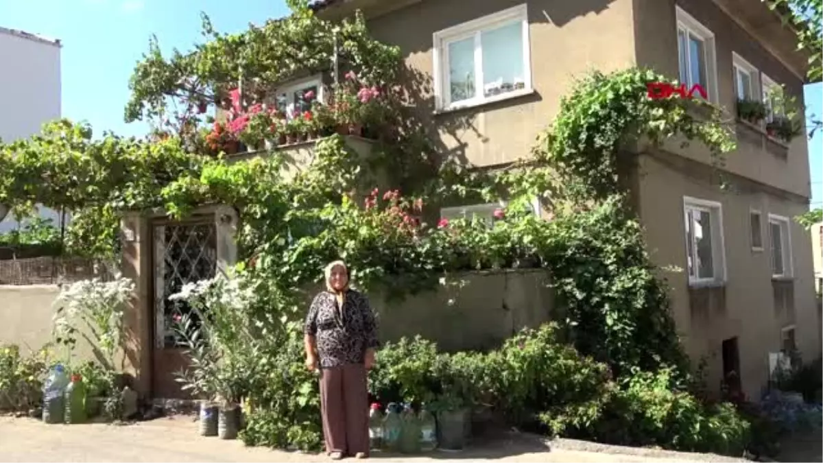 Edirne evi çiçek bahçesi gibi Haberler