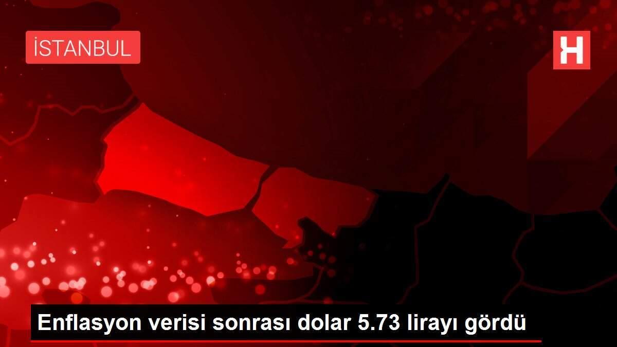Enflasyon verisi sonrası dolar 5.73 lirayı gördü