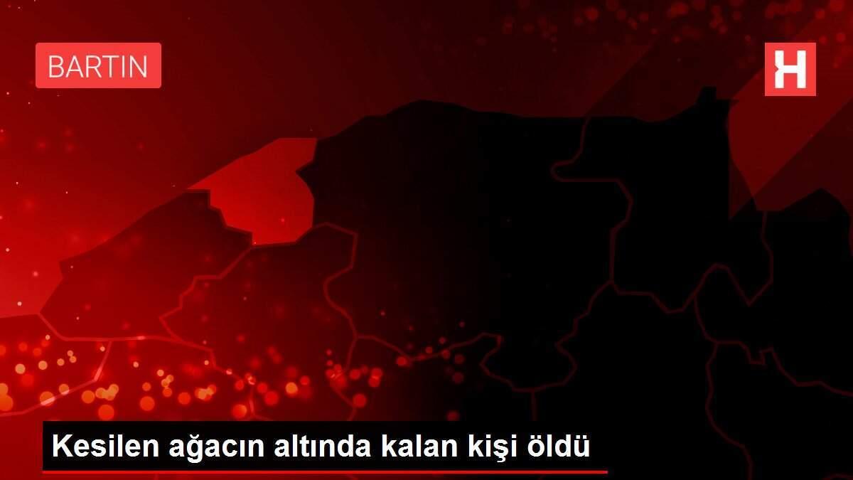 Kesilen ağacın altında kalan kişi öldü