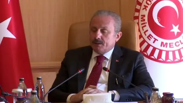 Meclis Başkanı Şentop, Çekya Başbakanı Andrej Babis'i kabul etti (2)
